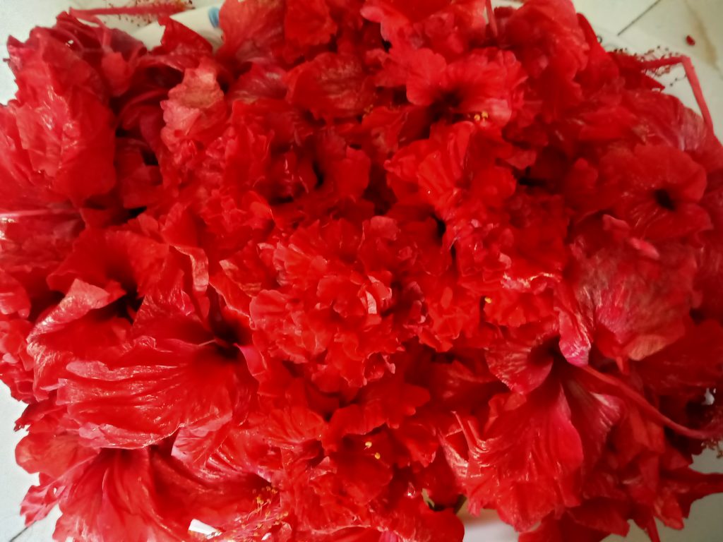 hibiscus benefits, benefits of hibiscus, mandaram benefits